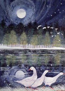 Snow Geese by Lisa Graa Jensen